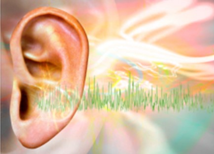 Como funciona nossa audição
